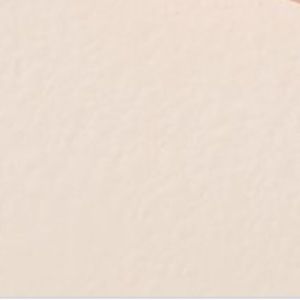 Meet your Posher, Leila